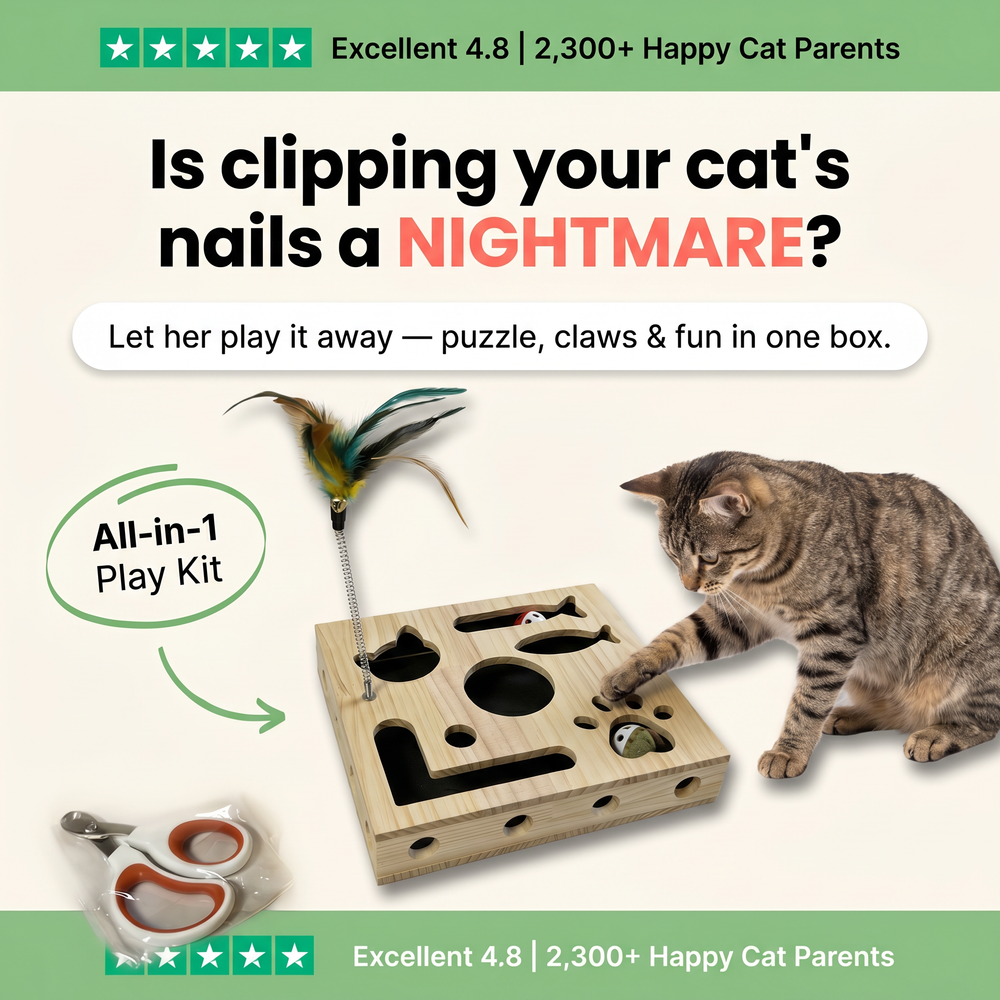 PawJoy Play Box rated 4.8 stars by cat parents